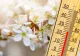 Temperaturi mai ridicate decât cele normale și ploi slabe, până la începutul lunii aprilie. Cum arată noua prognoză meteo, actualizată de ANM