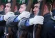 Germania vrea să reintroducă serviciul militar obligatoriu. „Nu ne putem descurca cu efectivele actuale”