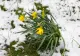 Prognoza meteo 18 martie. Vremea se răcește brusc! Unde va ninge astăzi
