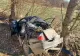 Accident devastator în Sibiu: un BMW s-a rupt în două după ce a intrat cu 200 de km/h în copac