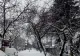 Meteorologii Accuweather au emis cod roșu de ninsori. Ce zone sunt vizate?