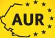 Care sunt cele 12 puncte propuse de AUR pentru depășirea crizei bugetare și politice 