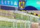 Furt de mii de euro în Dolj: o tânără de 19 ani a sustras banii unei rude și i-a înmânat iubitului ei. Poliția o caută pe femeie