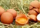 Criză alimentară: oamenii cresc găini ca să nu mai cumpere ouă