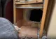 Jaf de 20 de milioane de dolari într-un magazin de lux de bijuterii. Hoții au ajuns la seifuri printr-o spărtură în zid