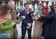 Nicușor Dan, nervos pe decizia BEC: „Nu poate exista vreo îngrădire!”