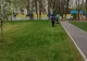 Miza pe spațiile verzi, în Sectorul 4