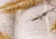 Top 4 zodii protejate de Dumnezeu în luna mai. Cine sunt nativii care primesc binecuvântarea divină 