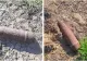 Alertă în Giurgiu! Două proiectile explozive, găsite pe un teren, în timpul unor lucrări agricole