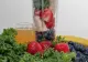 Fructul-minune care protejează inima, creierul și sistemul digestiv. E considerat „elixirul tinereții” și merită să fie consumat zilnic