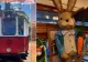 Tramvaiul Iepurașului, călătorie de neuitat pentru copii, părinți și bunici. Brăila, gazda unui eveniment de poveste - VIDEO