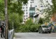 Copac URIAȘ, căzut pe o șosea din Capitală, lângă o școală: mai multe mașini au fost distruse - FOTO