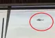 ALERTĂ AERIANĂ! Un avion de război rusesc a intrat fără permisiune în spațiul NATO! Avioane F-16 au răspuns la incident VIDEO