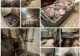 Abator de lângă Capitală, închis de ANPC. Au fost descoperite nereguli grave: imagini greu de digerat!