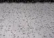 Cum va fi vremea azi? Ploi, furtuni și temperaturi mult sun cele normale pentru sfârșit de luna maiv
