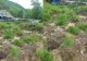 Alunecare de teren în Prahova. O familie a fost nevoită să se evacueze 
