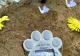 Unde se află cimitirul animalelor din România. Stăpânii vin aici să își amintească de cei care le-au înseninat viața 
