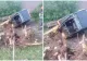 Incident grav în județul Suceava. Bărbat rănit după ce şi-a prins piciorul sub cabina unui excavator 
