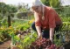 Produsul banal care va ține dăunătorii departe de grădina ta. Toți grădinarii trebuie să știe asta!
