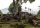 Revoluție arheologică în Indonezia: o piramidă veche de 27.000 de ani schimbă istoria umanității