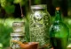 Plante medicinale care se culeg în luna mai. De ce trebuie să le ai în cămara ta pe tot parcursul anului?