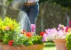 Pastila care ajută plantele să crească. Piseaz-o și pune-o în apa cu care le uzi: rezultate uimitoare 