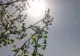 Vremea 14 mai. Temperaturi scăzute și astăzi. La cât ajung maximele zilei 