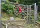Tragedie la Brașov, în plină zi. Un tânăr a murit, o tânără este în stare gravă, după ce un copac a căzut peste ei