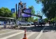 În sectorul 4 au început defrișările. Peste 1400 de arbori uscați sau aflați în declin biologic urmează să fie îndepărtați