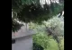 Cod roșu de averse torențiale și grindină în județul Prahova. Unde va lovi potopul 