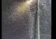 Invazie neobișnuită de INSECTE! Românii au intrat în  panică: imagini apocaliptice pe TikTok VIDEO