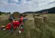 Sfârșit tragic pentru un bărbat din Timișoara. A murit după ce a căzut balotul de paie peste el