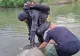 Tragedie în Bihor: o fetiță de 8 ani s-a înecat în Crișul Negru de față cu sora sa