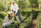 Arbori pe care nu ar trebui să-i plantezi în curte. Unele dintre aceste plante sunt toxice