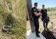 Un român s-a trezit cu un mega-șarpe de 1,5 metri în curte. Jandarmii au folosit dispozitive speciale pentru capturarea reptilei. FOTO