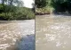 Dezastru ecologic pe Târnava Mică, după inundațiile de la Praid. Mai multe localități au rămas fără apă potabilă, iar pe râu plutesc pești morți - VIDEO