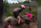 Un copil din Brazilia merge la școală călare pe porc - VIDEO