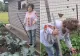Saveta Bogdan le arată americanilor cum se cultivă legumele pentru a avea gust - VIDEO