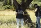 Româncă și fiica ei de câteva luni, găsite moarte într-un parc din Roma - VIDEO
