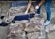 Rețea de traficanți, destructurată: aproape 50 kg de canabis aduse din Spania prin curierat