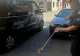 Panică în județul Mehedinți! Jandarmii, solicitaţi să îndepărteze doi şerpi 