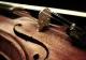 Detalii șocante despre moartea tânărului violonist român lovit de fulger în casă