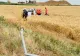 Grav accident rutier în Giurgiu. Un autoturism a intrat într-un stâlp de iluminat