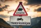 Într-o singură zi s-a întâlnit cu 16 urși pe Transfăgărășan! Povestea halucinantă a unui turist