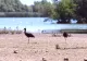 Navigație îngreunată în Delta Dunării din cauza scăderii accentuate a nivelului Dunării