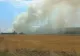 Incendiu uriaș în Valea Dacilor, din județul Constanța. Pompierii din trei județe intervin cu 11 autospeciale, au fost chemați și voluntari – FOTO