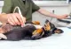 Cum influențează dieta corectă rezultatele ecografiei abdominale la animale? (P)