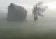 Vijelie apocaliptică în Cluj! Vântul a luat pe sus casele oamenilor: imagini șocante VIDEO
