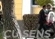 Primele IMAGINI cu Plahotniuc şi Ţuţu, aduşi în cătuşe la instanţa din Grecia - VIDEO