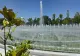 Parcul Arghezi, o adevărată oază a naturii în sectorul 4
